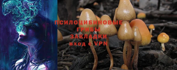кокаин Краснослободск